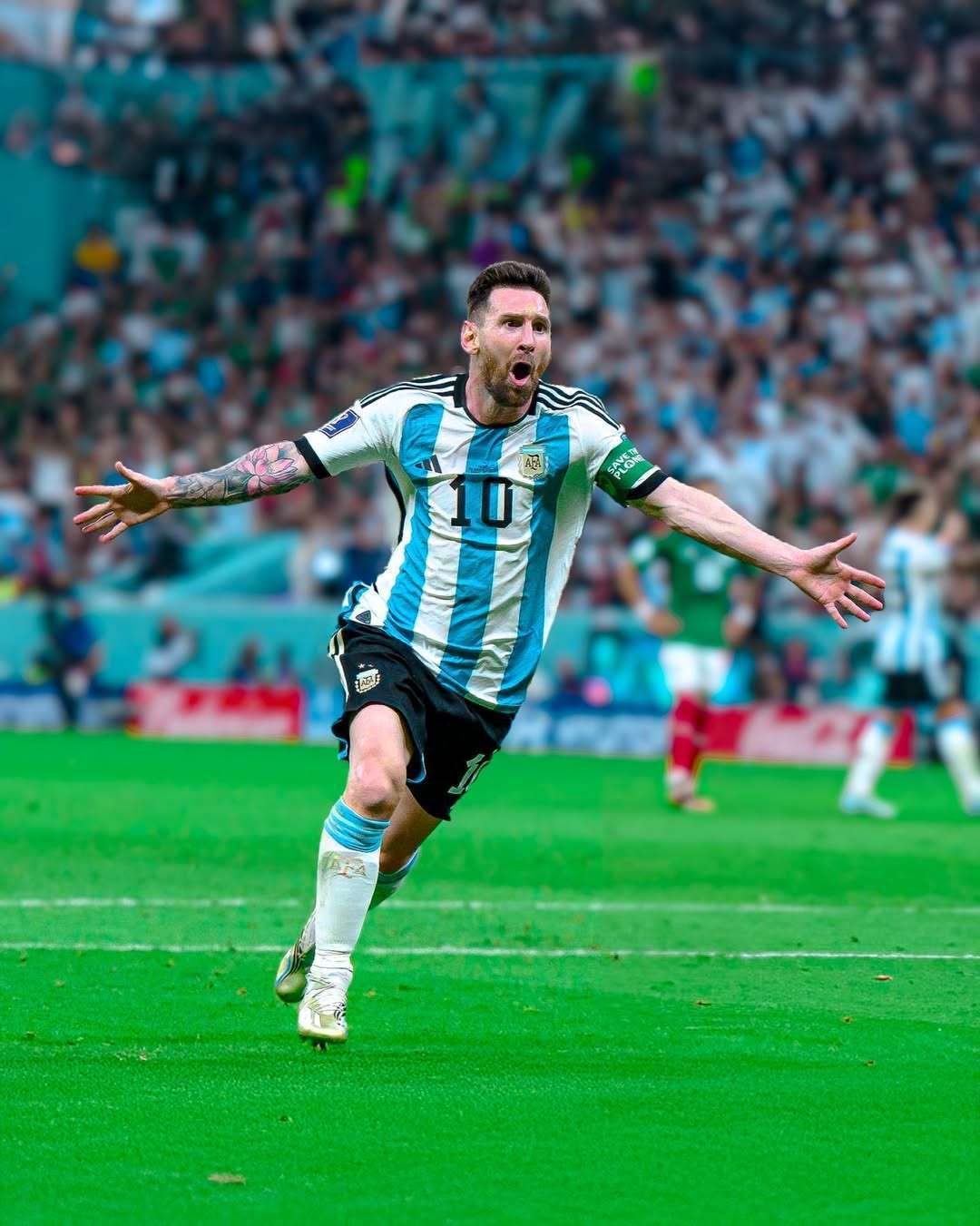 总的来说 总的来说