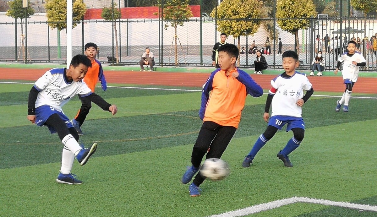 锐的门前嗅 锐的门前嗅