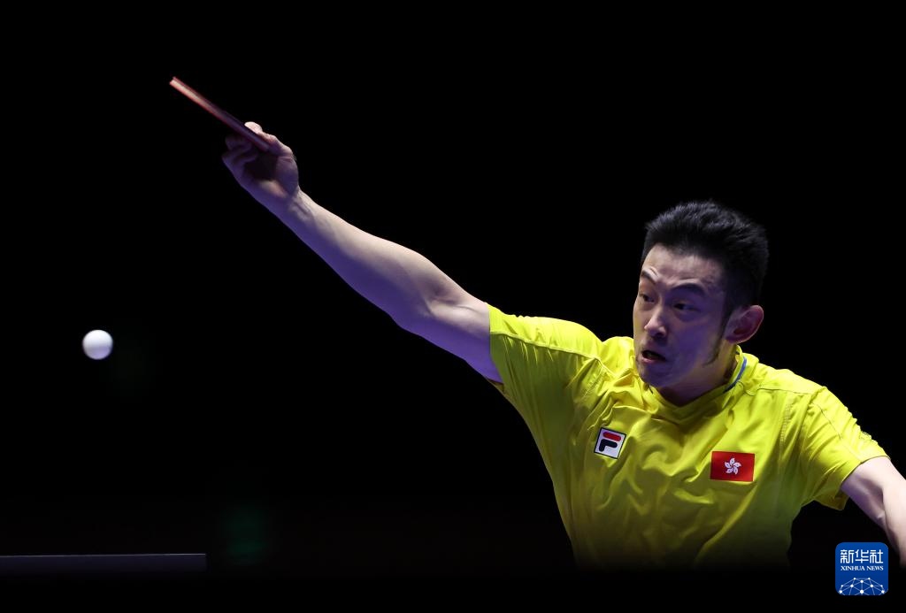 有望提升东 有望提升东